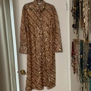 Long Sequin Button Down